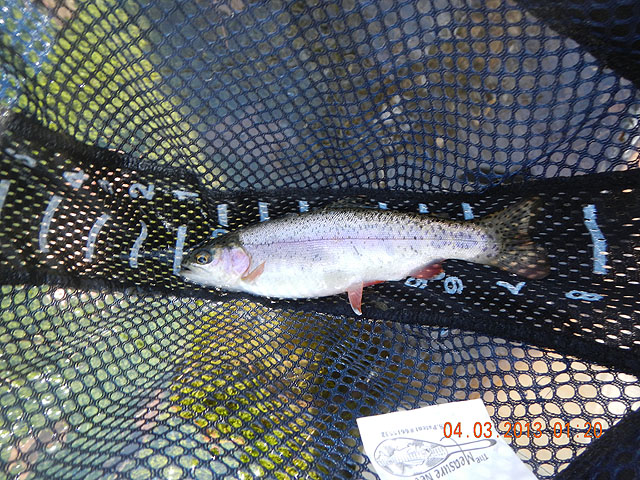 Big Sping Creek 04-03-13 009.jpg -                                